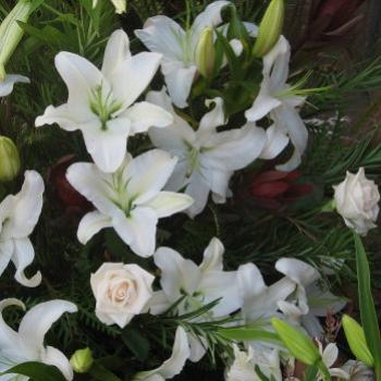 <b>Wedding flowers Braidwood Kate/Sydney</b>