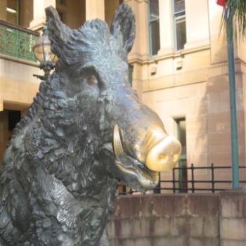 <b>Il Porcellino Sydney</b>