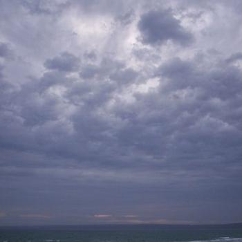 <b>cloud study 6 /dino</b>