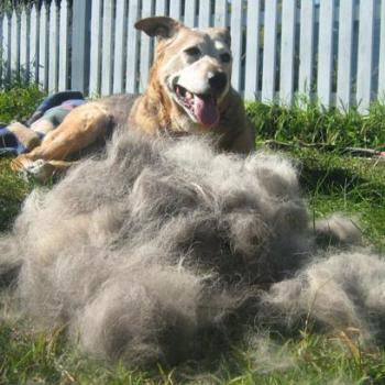 <b>Schultz - First Brush of Spring!</b>