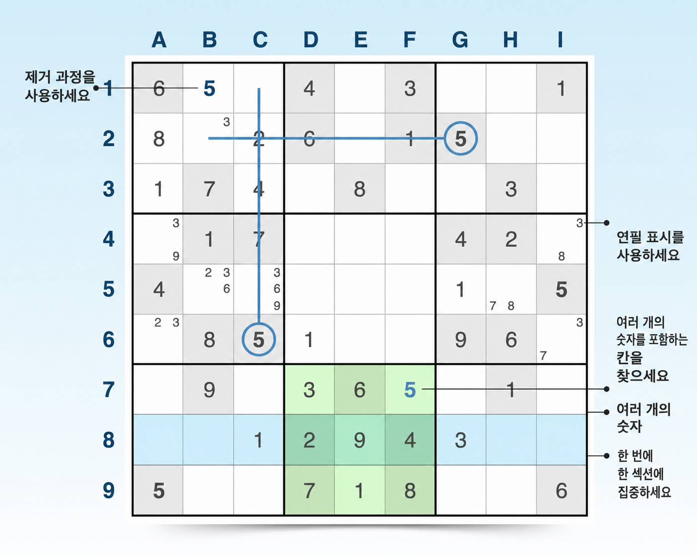 팁과 예시를 보여 주는 sudoku 격자
