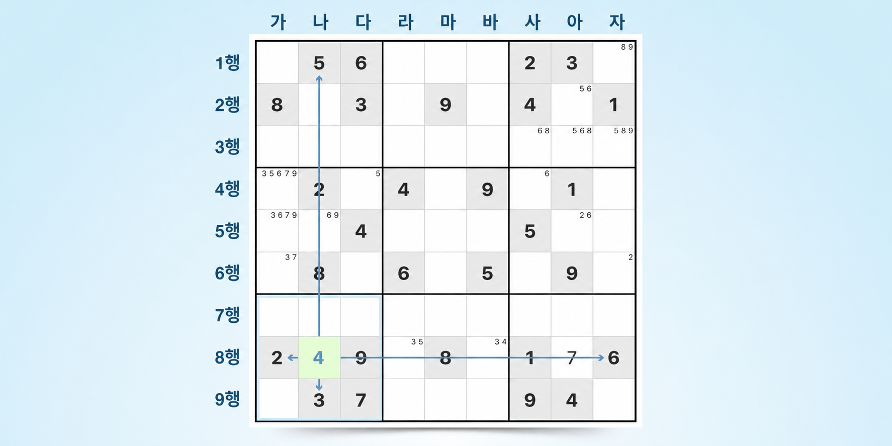 마지막 가능한 숫자 sudoku 기법