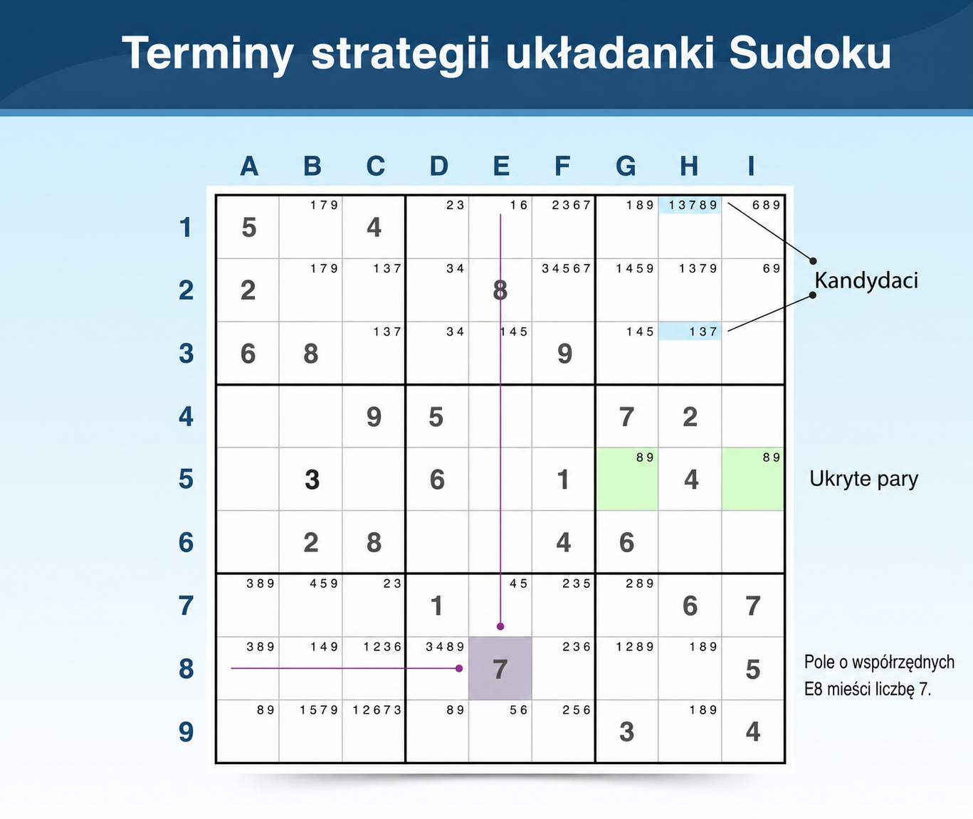 Terminologia Sudoku dotycząca strategii i rozgrywki