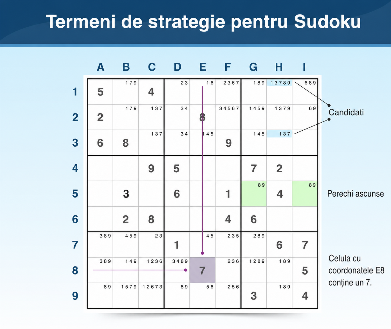 Terminologie Sudoku pentru strategii și joc