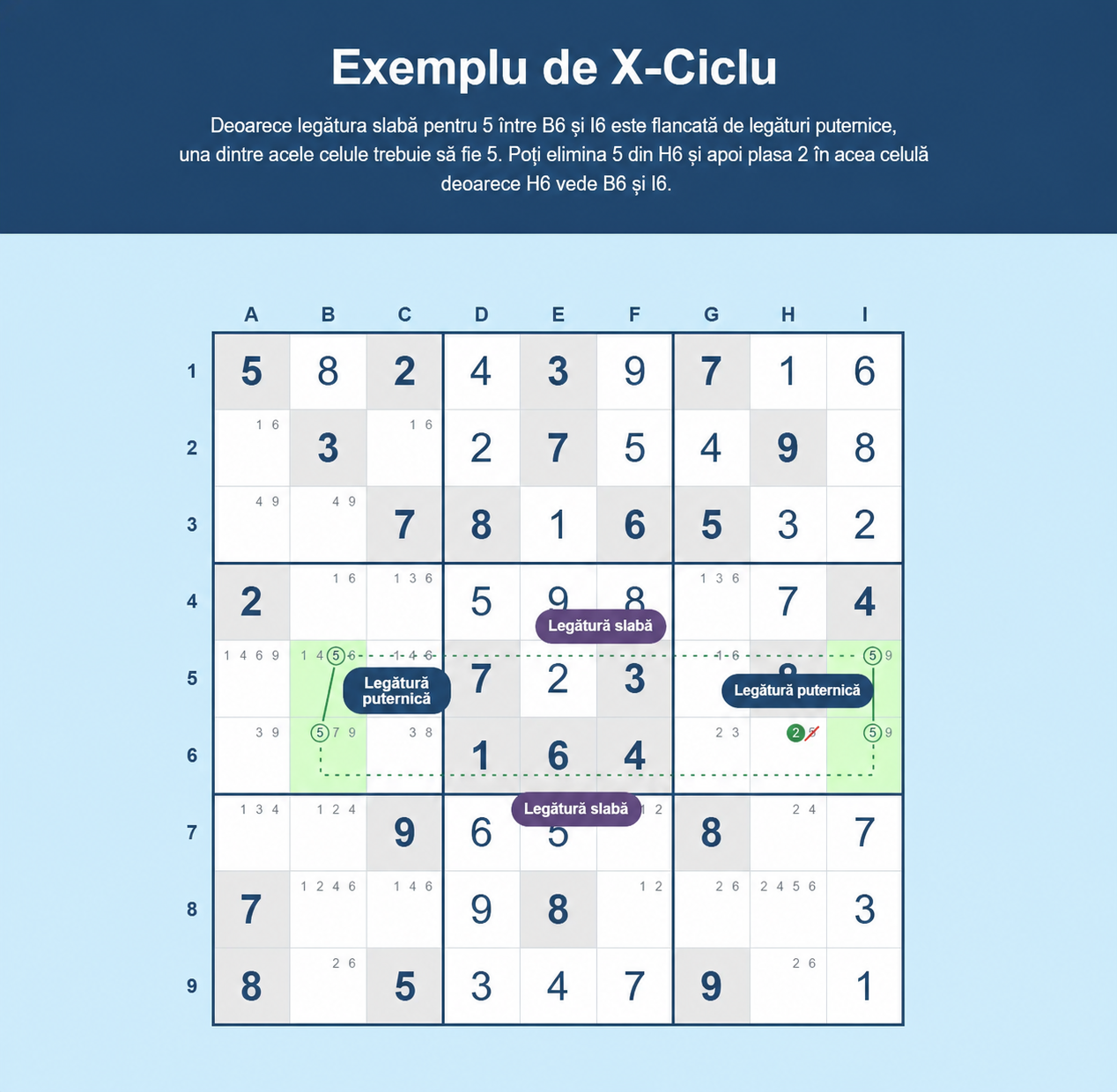 Exemplu de ciclu X în Sudoku