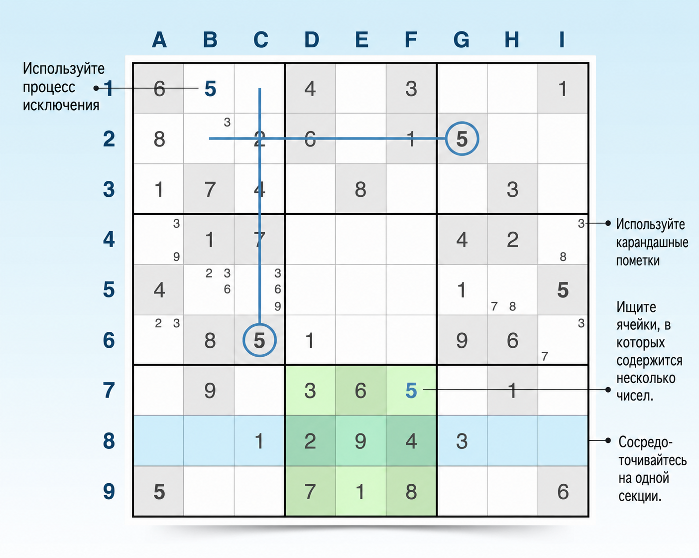 сетка Sudoku с советами и примерами