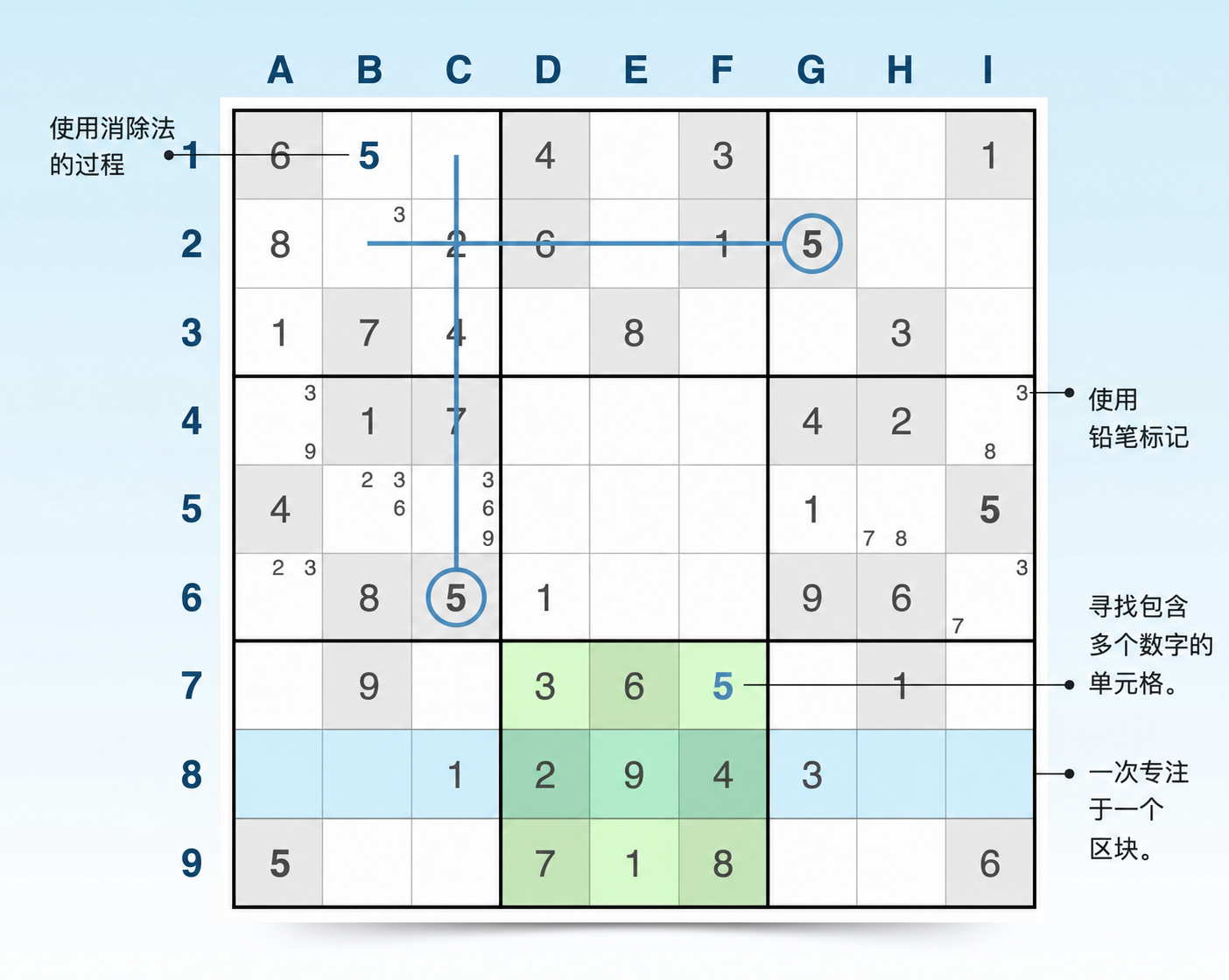 展示技巧和示例的 Sudoku 网格