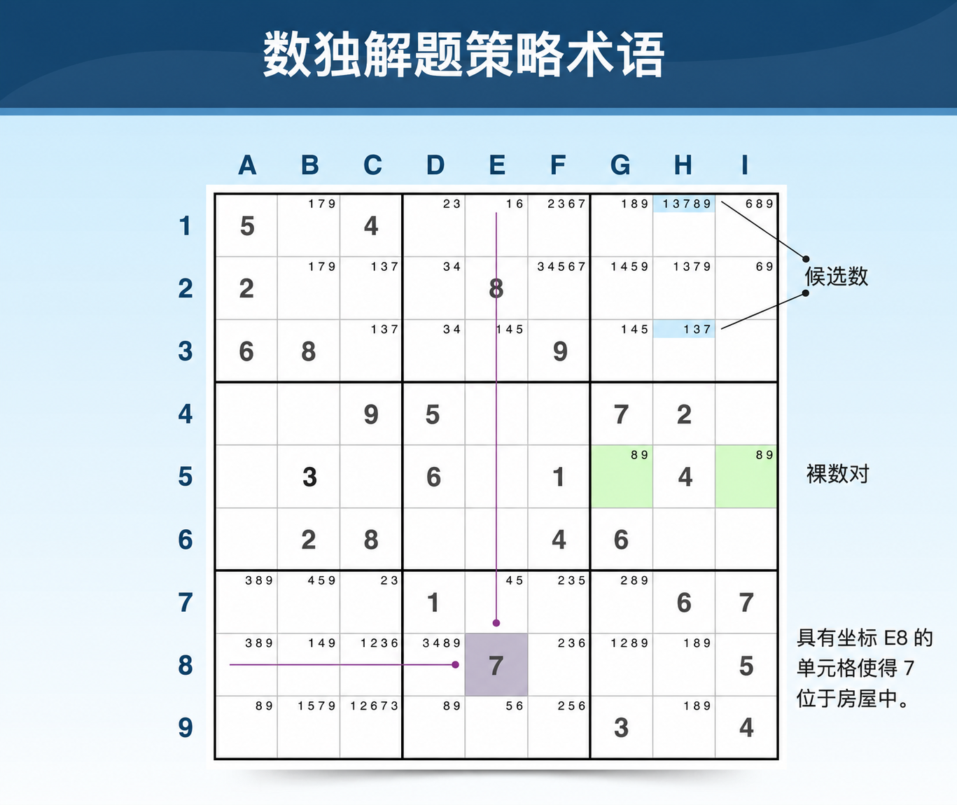 用于策略和玩法的 Sudoku 术语